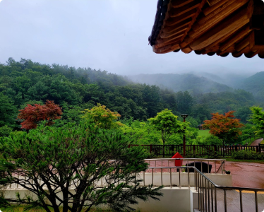 활동사진