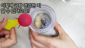 유튜브 썸네일01