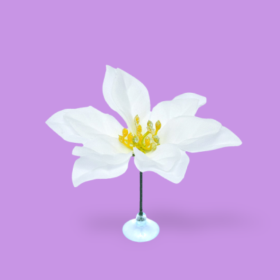 성탄별 베타 꽃침대 쉼터