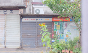 연재 사진