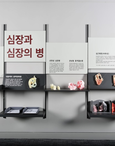 심장박물관