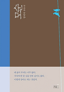 모순